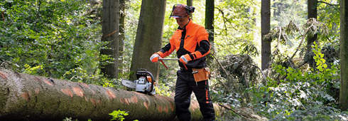 STIHL PPE range