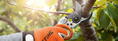 pruning shears cordless