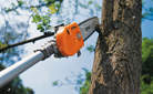 Pole Pruner (KM-HT)