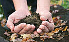 Leaf mould