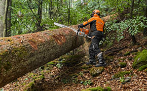 STIHL 2024 catalogue