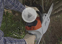 STIHL MSA 160 C-BQ chainsaw teaser